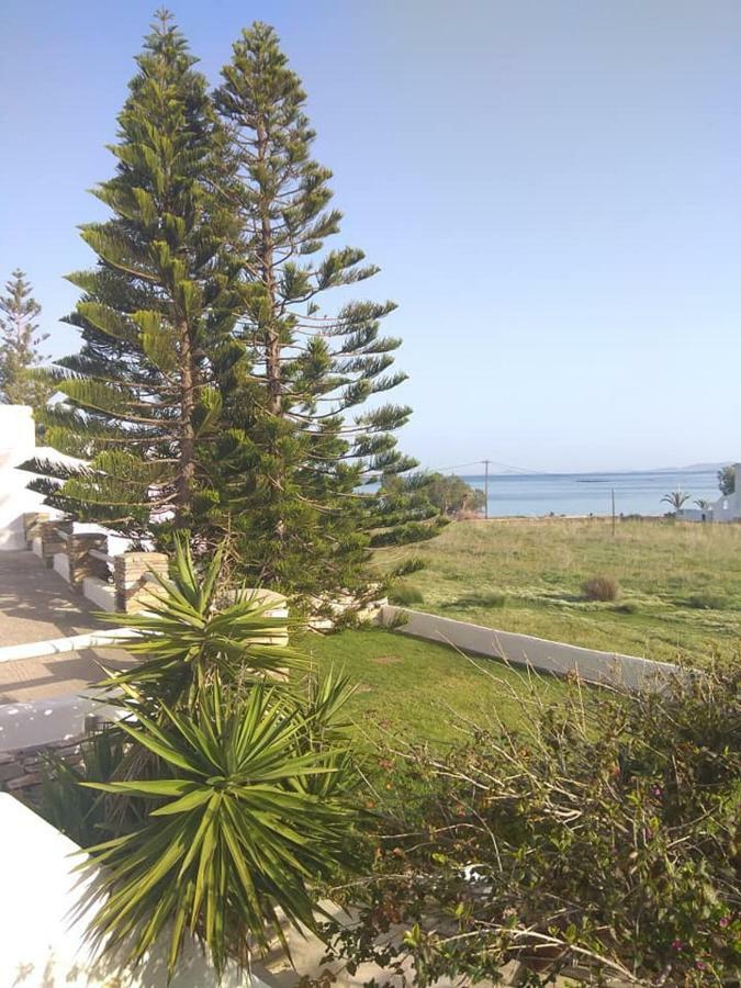 Appartement Albatross Agios Sostis (Tinos)